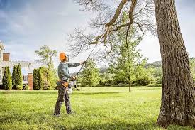 How Our Tree Care Process Works  in  Dalzell, SC